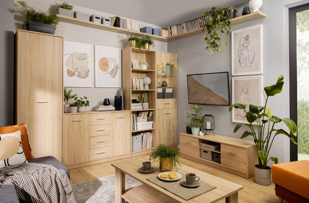 Nepo Plus — TV cabinet